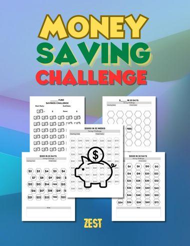 Money Saving Challenge Book